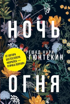 Ночь огня: роман. (обл.). Гюнтекин Р.Н.