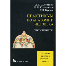 Практикум по анатомии человека: в 4 ч. Ч. 4: Нерная система и органы чувств. Колесников Л.Л., Цыбулькин А.Г., Горская Т.В.