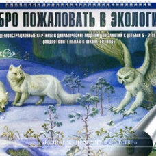 Добро пожаловать в экологию. Демонстрационные картины и динамические модели для занятий с детьми 6-7 лет (подготовительная к школе группа). Воронкевич О.А.