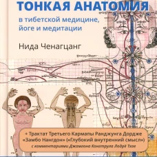 Тонкая анатомия в тибетской медицине, йоге и медитации. Ключ к энергетической структуре человека. Ченагцанг Н.
