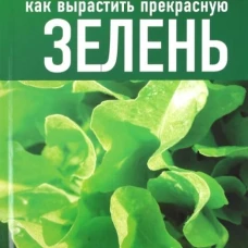 Как вырастить прекрасную зелень