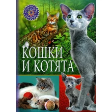 Кошки и котята (Популярная детская энциклопедия).