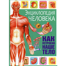 Энциклопедия человека. Как устроено наше тело.