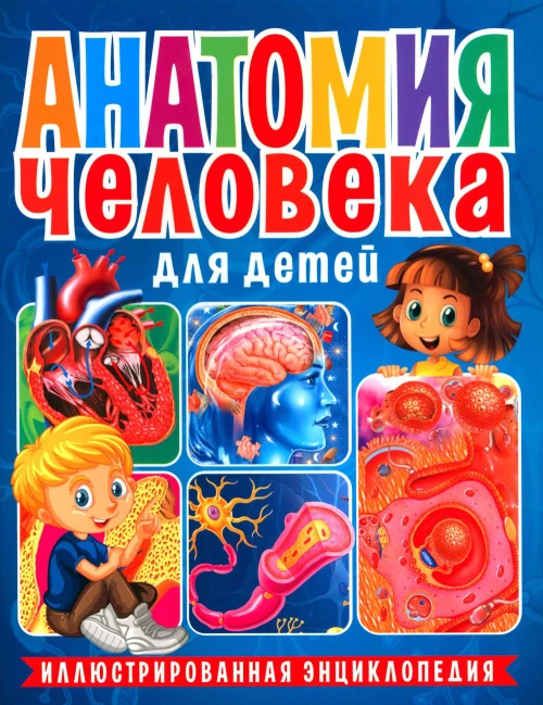 Анатомия человека для детей. Иллюстрированная энциклопедия.