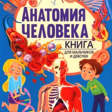 Анатомия человека. Книга для мальчиков и девочек. Под ред. Голотиной Л.Ю.