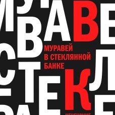 Муравей в стеклянной банке: Чеченские дневники 1994-2004. Жеребцова П.В.