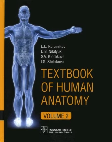Textbook of Human Anatomy. In 3 vol. Vol. 2: Splanchnology and cardiovascular system: на англ.яз. Колесников Л.Л., Никитюк Д.Б., Клочкова С.В.