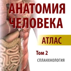 Анатомия человека: атлас: В 3 т. Т. 2. Спланхнология. Колесников Л.Л.