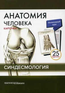 Анатомия человека: карточки. (25 шт). Синдесмология. Сапин М.Р., Николенко В.Н., Тимофеева М.О.