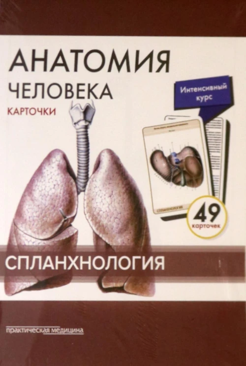 Анатомия человека: карточки. (49 шт). Спланхнология. Сапин М.Р., Николенко В.Н., Тимофеева М.О.