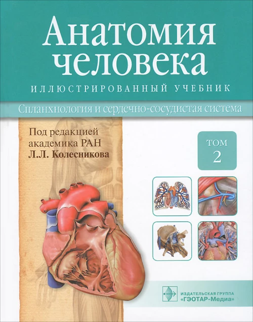Анатомия человека. Учебник. В 3 томах. Том 2. Спланхнология и сердечно-сосудистая система