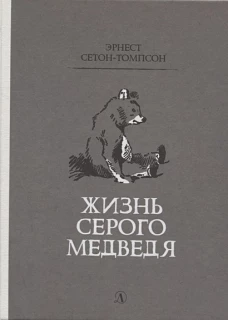 Жизнь серого медведя