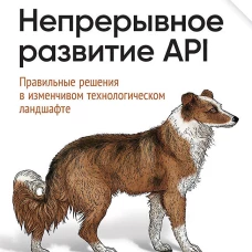 Непрерывное развитие API. Правильные решения в изменчивом технологическом ландшафте, 2-е изд.