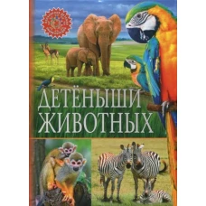 Лидия Чарская: Записки маленькой гимназистки