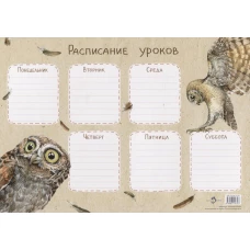 Расписание уроков.Сычик-эльф