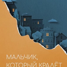 Мальчик,который крадет дома