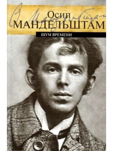 Шум времени