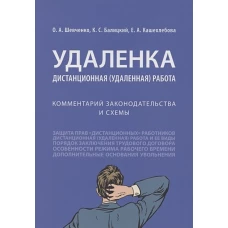 Удаленка. Дистанционная (удаленная) работа. Комментарий законодательства и схемы