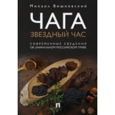 Чага:звездный час.Современные сведения об уникальном российском грибе