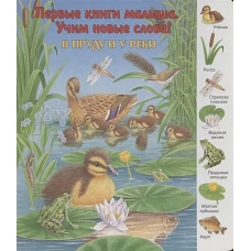 В пруду и у реки