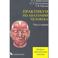 Практикум по анатомии человека.Уч.пособие:В 4-х ч.Ч.1 Опорно-двигательная система.