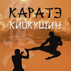 Каратэ киокушин