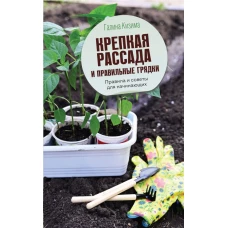 Крепкая рассада и правильные грядки. Правила и советы для начинающих