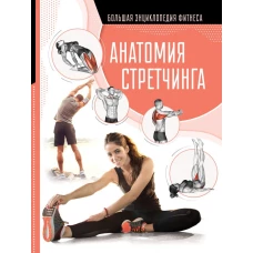 Анатомия стретчинга