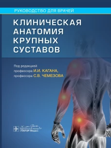 Клиническая анатомия крупных суставов