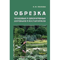 Обрезка плодовых и декоративных деревьев и кустарников