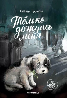 Только дождись меня
Русинова Евгения Александровна