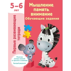 Мышление, память, внимание. Обучающие задания. 5-6 лет