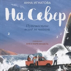На Север. Путешествие вслед за чайкой