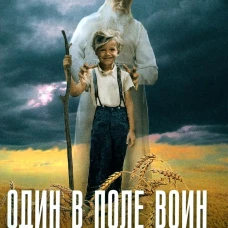 Один в поле воин. Историческая повесть о святителе Луке