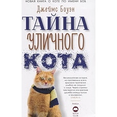 Тайна уличного кота