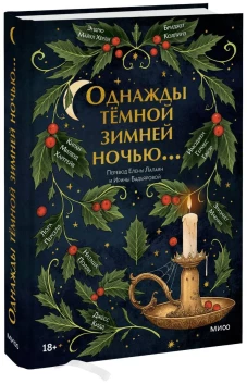 Однажды темной зимней ночью