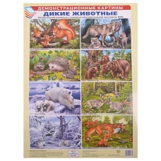 Демонстрационные картины: Дикие животные