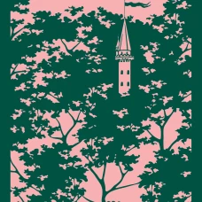 Большой Мольн