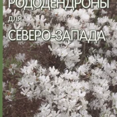 Рододендроны для Северо-Запада