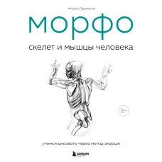 МОРФО. Скелет и мышцы человека. Анатомия для художников