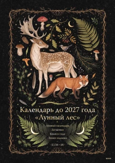 Танковая битва под Сенно. &laquo;Последний парад&raquo; мехкорпусов Красной Армии