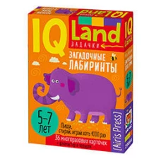 IQ Многоразовые карточки с маркером.5+ Загадочные лабиринты