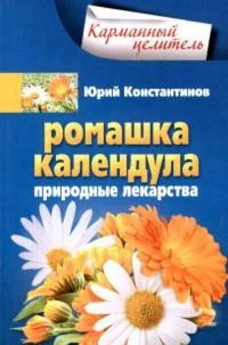 Ромашка, календула. Природные лекарства
