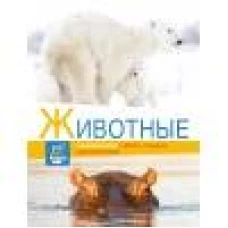 Энциклопедии c фото и видео приложениями. Животные