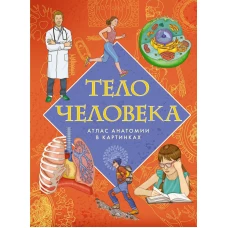 Тело человека. Атлас анатомии в картинках