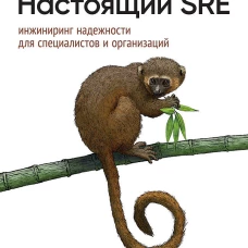 Настоящий SRE: инжиниринг надежности для специалистов и организаций