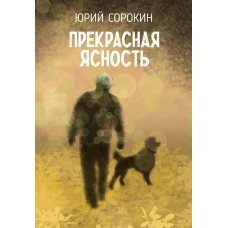 Прекрасная ясность