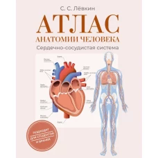 Атлас анатомии человека. Сердечно-сосудистая система