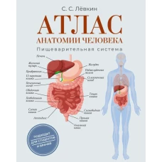 Атлас анатомии человека. Пищеварительная система