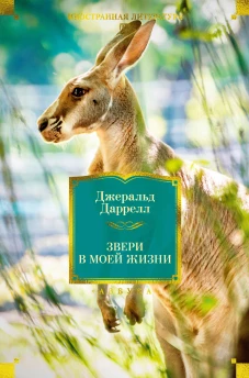 Звери в моей жизни